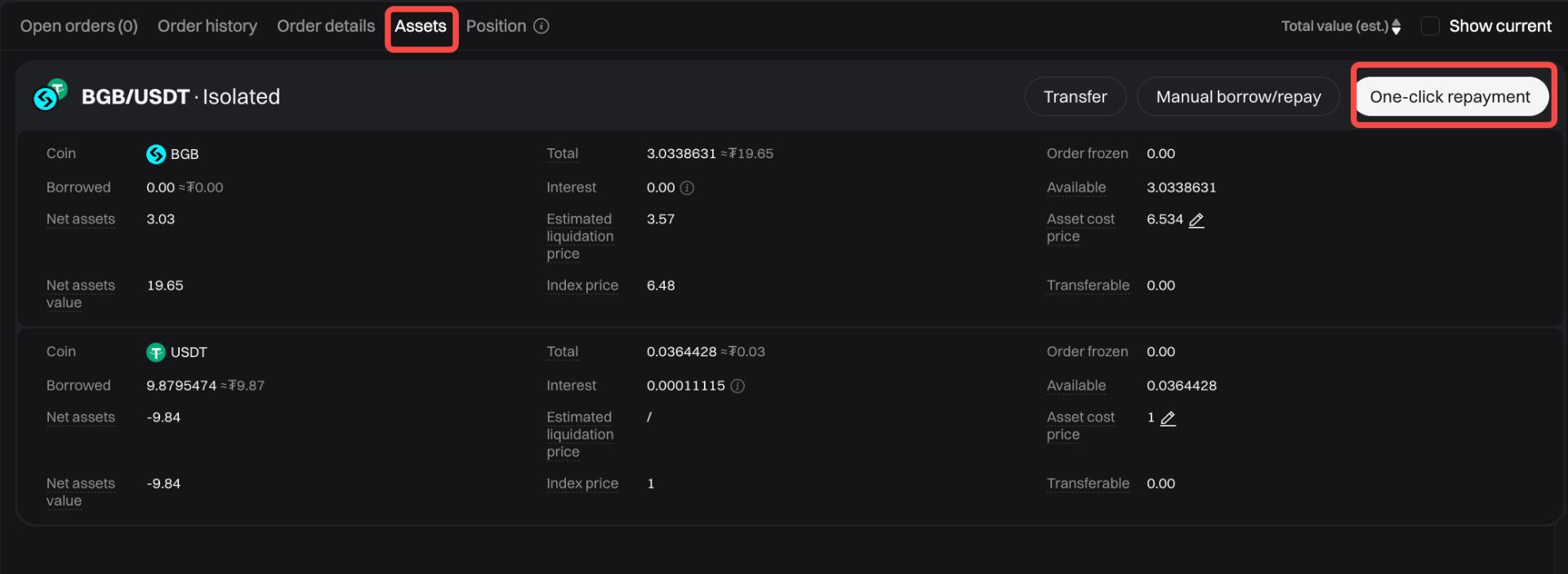 How to Use the Auto Borrow and Auto Repay Functions?