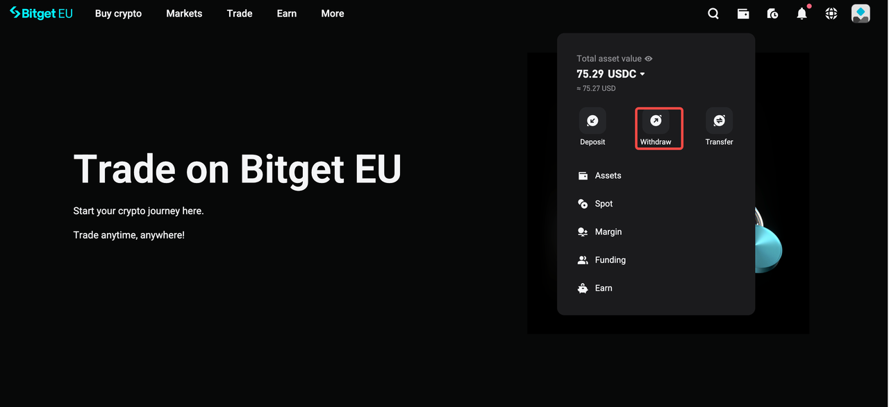 How Do I Withdraw Crypto in the EU? image 0