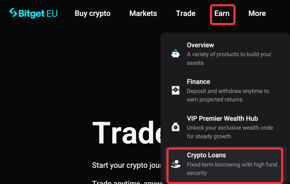 Crypto Loans: How to Apply and Manage Borrowed Funds - Website Guide